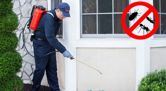 Mamak Gümüşkurt İlaçlama böcek ilaçlama ve haşere kontrolü — ilaclama-tr.com